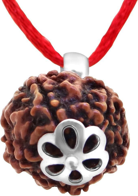 rudraksha