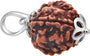 Original 5 Mukhi Rudraksha Bead