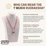 7 Mukhi Rudraksha Silver Capped Pendant