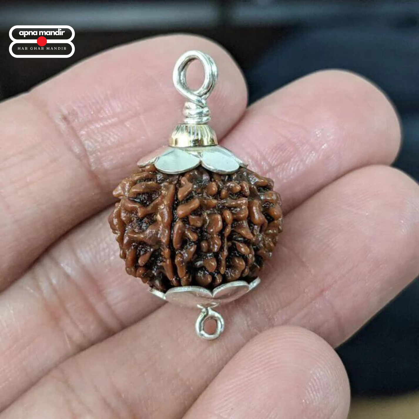 7 Mukhi Rudraksha Silver Capped Pendant